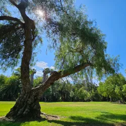 Kit Carson Park - Escondido
