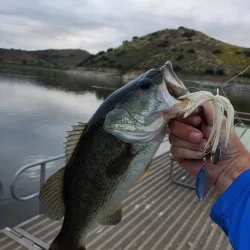 Lake Hodges - Escondido