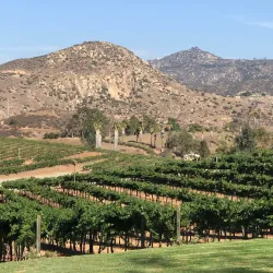 Orfila Vineyards and Winery - Escondido