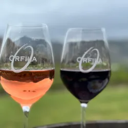 Orfila Vineyards and Winery - Escondido