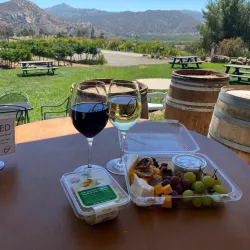 Orfila Vineyards and Winery - Escondido