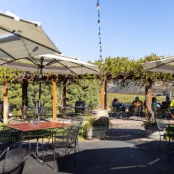 Orfila Vineyards and Winery - Escondido