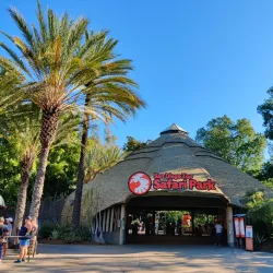 San Diego Zoo Safari Park - Escondido