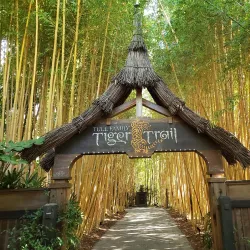 San Diego Zoo Safari Park - Escondido