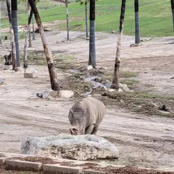 San Diego Zoo Safari Park - Escondido