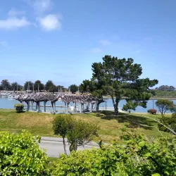 Carson Mansion - Eureka