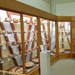 Clarke Historical Museum - Eureka