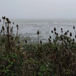 Eureka Waterfront Trail - Eureka