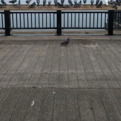 Eureka Waterfront Trail - Eureka