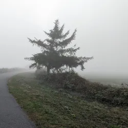 Eureka Waterfront Trail - Eureka