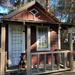 Fort Humboldt State Historic Park - Eureka