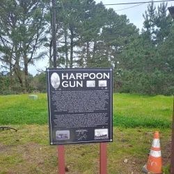 Humboldt Bay - Eureka