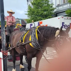 Old Town Eureka - Eureka