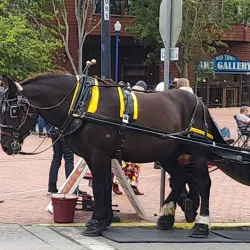 Old Town Eureka - Eureka