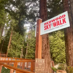 Redwood Sky Walk at the Sequoia Park Zoo - Eureka