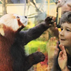 Sequoia Park and Zoo - Eureka