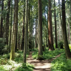 Sequoia Park and Zoo - Eureka