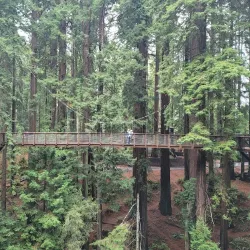 Sequoia Park and Zoo - Eureka