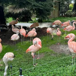 Sequoia Park and Zoo - Eureka