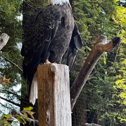 Sequoia Park and Zoo - Eureka