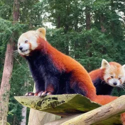 Sequoia Park and Zoo - Eureka