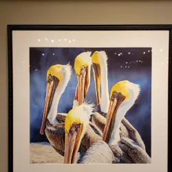 Fallbrook Art Center - Fallbrook