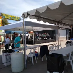 Fallbrook Avocado Festival - Fallbrook