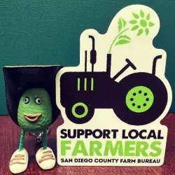 Fallbrook Farmers Market - Fallbrook