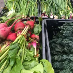 Fallbrook Farmers Market - Fallbrook