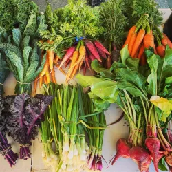 Fallbrook Farmers Market - Fallbrook