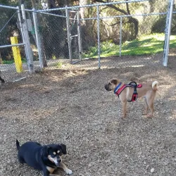 Live Oak Park - Fallbrook