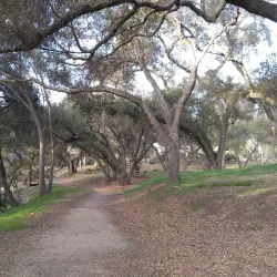 Live Oak Park - Fallbrook