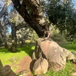 Live Oak Park - Fallbrook