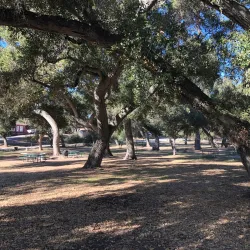 Live Oak Park - Fallbrook