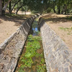 Live Oak Park - Fallbrook