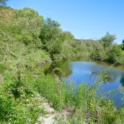 Santa Margarita River Trail - Fallbrook