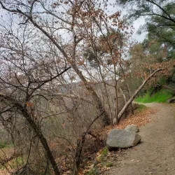Santa Margarita River Trail - Fallbrook