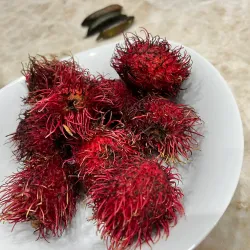 The Olive Hill Farm - Fallbrook