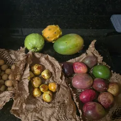 The Olive Hill Farm - Fallbrook