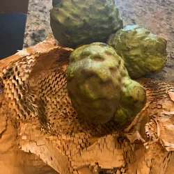 The Olive Hill Farm - Fallbrook