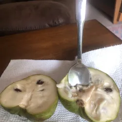 The Olive Hill Farm - Fallbrook