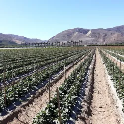 Downtown Fillmore - Fillmore