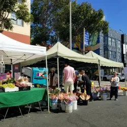 Fillmore Farmers Market - Fillmore