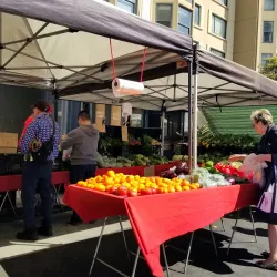 Fillmore Farmers Market - Fillmore
