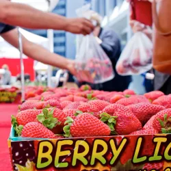 Fillmore Farmers Market - Fillmore