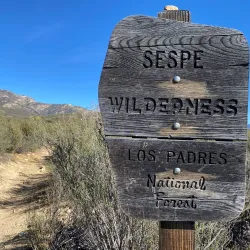 Los Padres National Forest - Fillmore