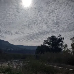 Santa Clara River Trail - Fillmore