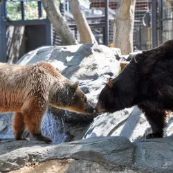 Folsom City Zoo Sanctuary - Folsom