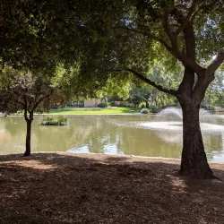 Mary Vagle Nature Center Amphitheater - Fontana