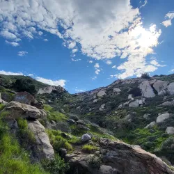 Mary Vagle Nature Center Amphitheater - Fontana